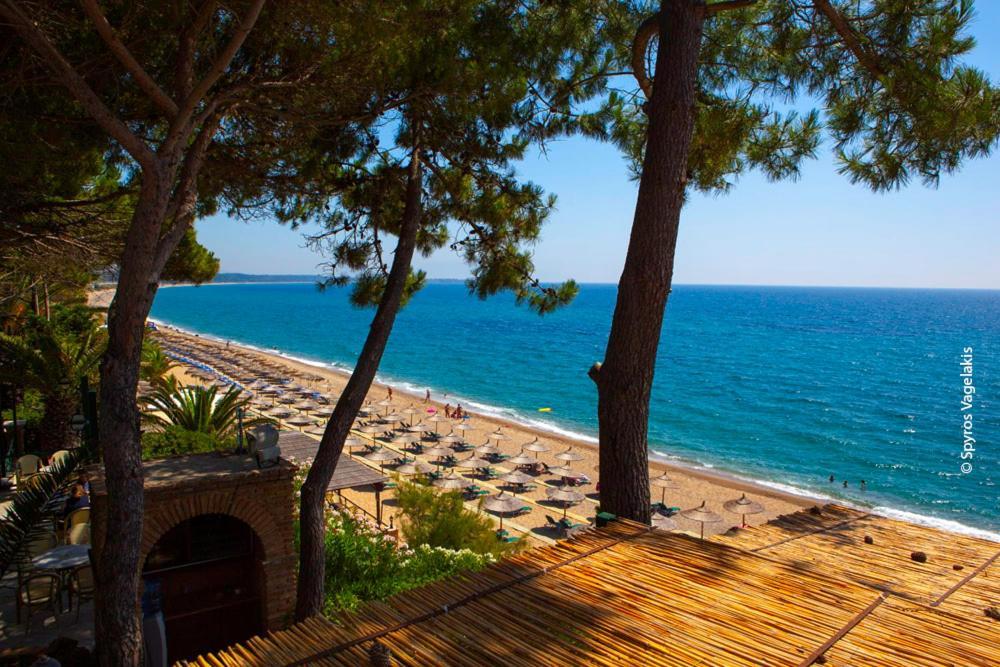 Koukounari Living Spaces Πρέβεζα Εξωτερικό φωτογραφία
