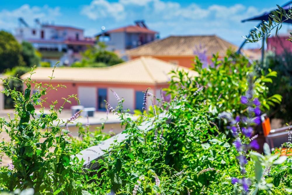 Koukounari Living Spaces Πρέβεζα Εξωτερικό φωτογραφία